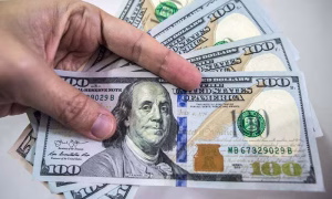 Nigerian Foreign Exchange Market (NFEM)